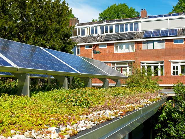 Een combinatie van zonnepanelen met een groen dak verkoelt de ruimte, maar ook de panelen, waardoor ze beter presteren.